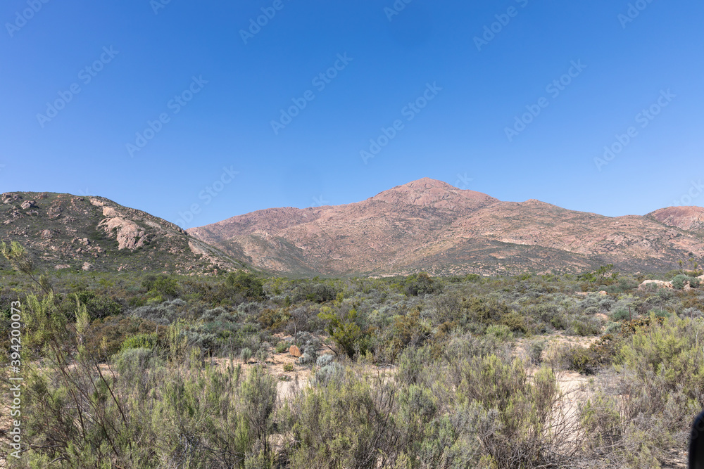 landscape in the desert landscape in the desert