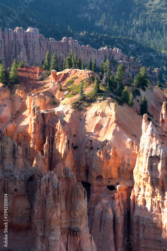 Morning sunrise at Bryce Canyon National Park Utah hoodoos and canyons with beautiful pine trees scattered in the valley.