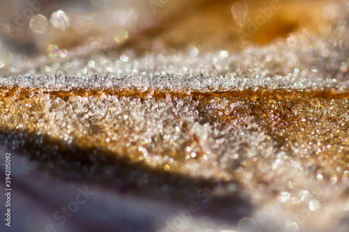 Icy frost on orange autumn leaf closeup