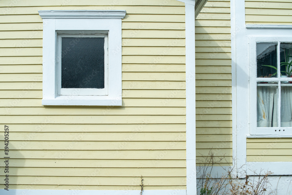 A bright yellow lateral clapboard wooden exterior wall of a house or building with a small single glass and double hung window. The trim around the windows is white. There are shrubs below the window.