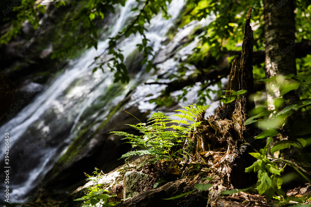 Waterfalls in Shenandoah Waterfalls in Shenandoah