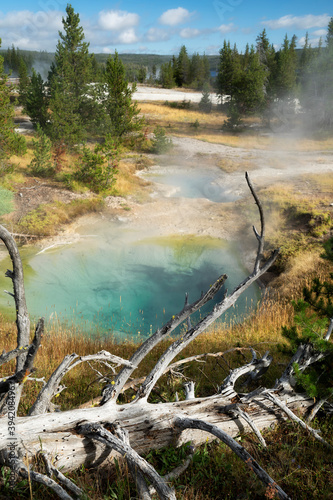 Yellowstone National Park 2020 with geysers and thermal pools.