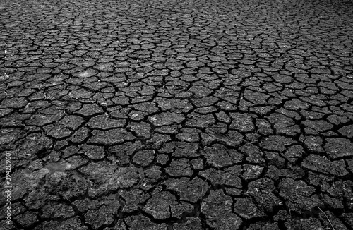 Landscape dried and cracked background. The soil dry. Drouth concept. No water.