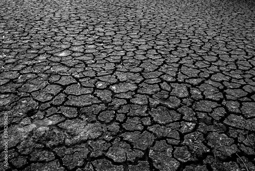 Landscape dried and cracked background. The soil dry. Drouth concept. No water.