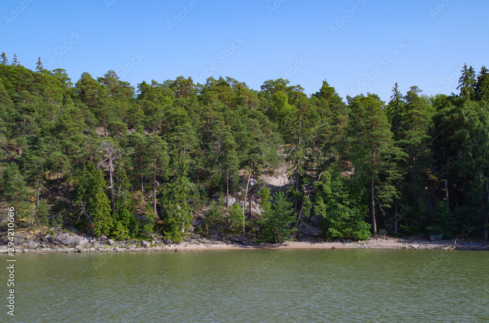 beach with trees and sea