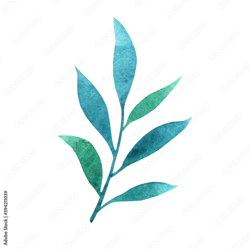 Fototapeta premium Hand drawn watercolor winter leaf. Isolated on a white background object.