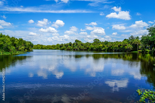Fototapeta Naklejka Na Ścianę i Meble -  The Myakka River showing off its beautiful calm waters on this sunny summer day.