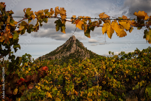 Cuadro en lienzo Vista de la montaña de Santa Barbara sobre un viñedo en coloraciones otoñales, en Horta de Sant Joan (Horta de San Juan), Cataluña