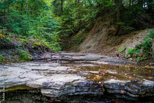 This is Hell Hollow Wilderness Area in the isolated forests of Lake County Ohio.