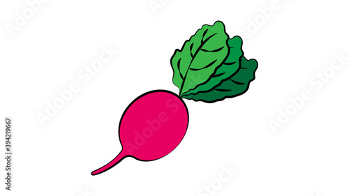 radish on a white background, vector illustration. orange oblong radish, a healthy vegetable for salads. healthy food for weight loss. natural product, farming