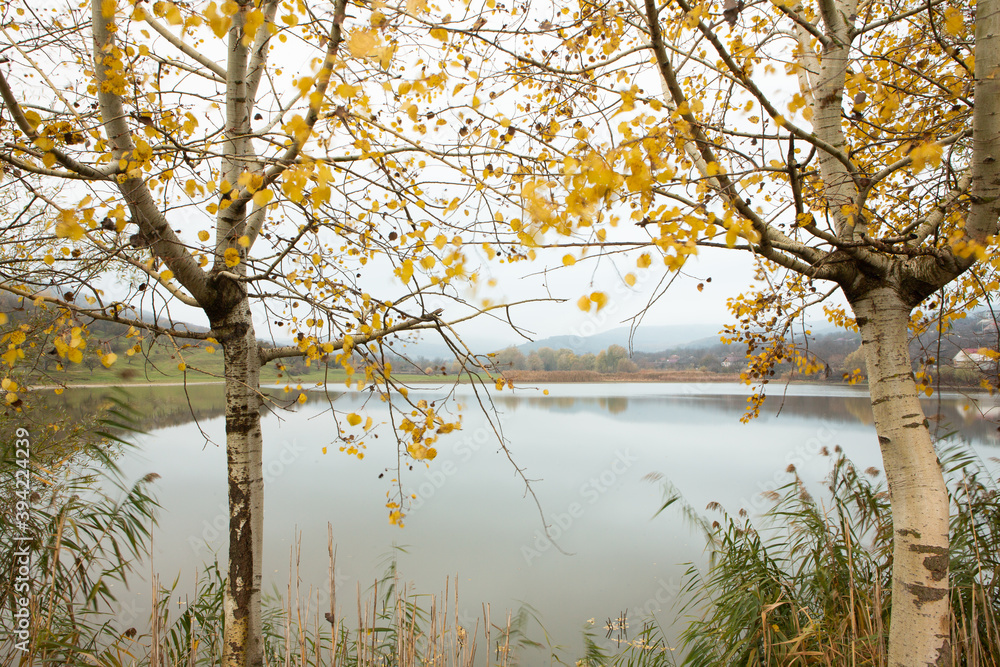 Obraz premium Beautiful rural landscape in Europe. Sunny nature with meadow and colorful forest. Orange trees on hillsides.