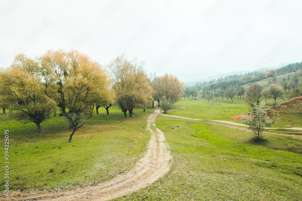 Beautiful rural landscape in Europe. Sunny nature with meadow and colorful forest. Orange trees on hillsides.