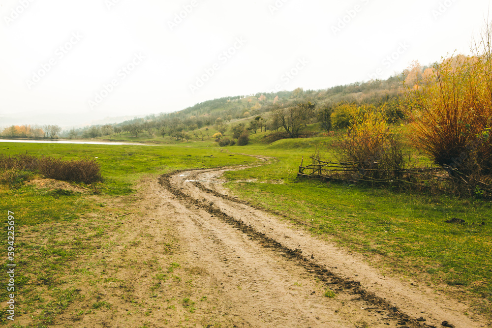 Beautiful rural landscape in Europe. Sunny nature with meadow and colorful forest. Orange trees on hillsides. Beautiful rural landscape in Europe. Sunny nature with meadow and colorful forest. Orange trees on hillsides.