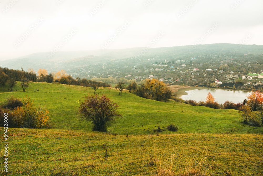 Obraz premium Beautiful rural landscape in Europe. Sunny nature with meadow and colorful forest. Orange trees on hillsides.