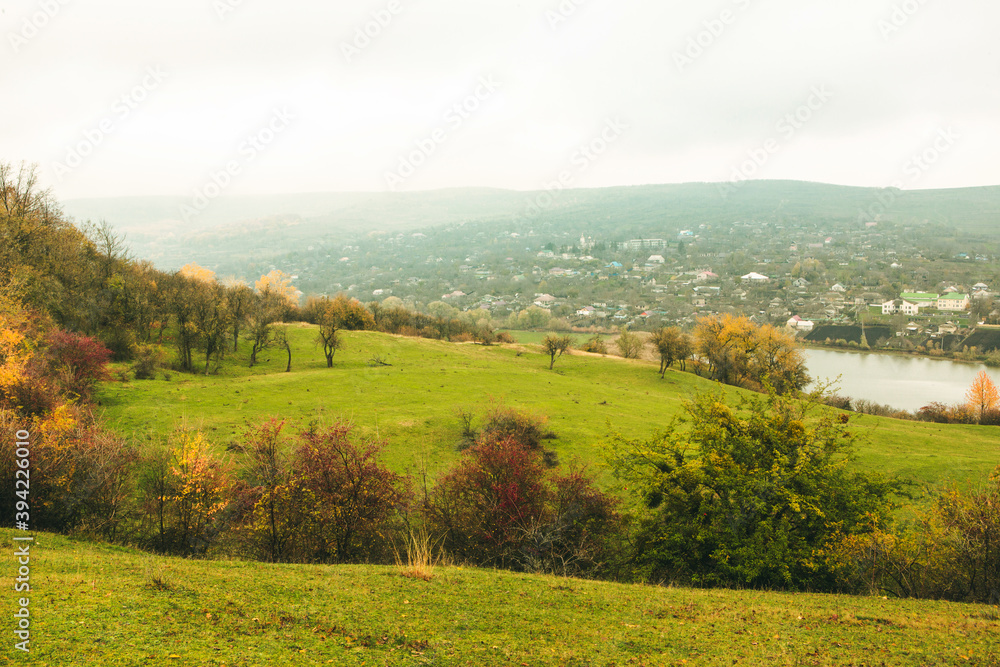 Obraz premium Beautiful rural landscape in Europe. Sunny nature with meadow and colorful forest. Orange trees on hillsides.