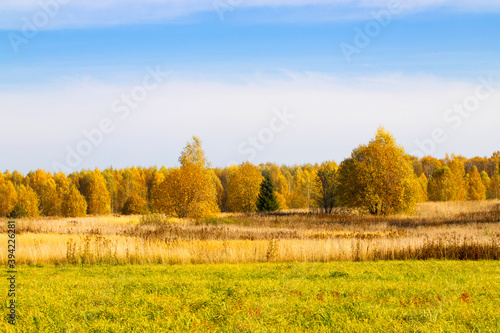 The autumn landscape . European part of the land, fields, meadows, groves in autumn yellow tones.