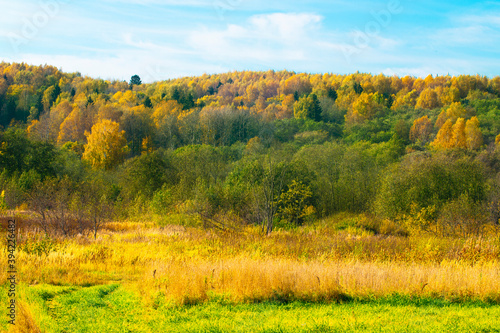 Autumn landscape on a Sunny day. Bright colored trees behind the field. Russian fields and forests on an autumn day
