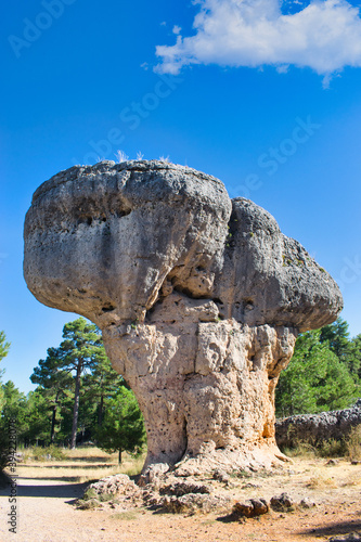 Spectacular natural monument in La Ciudad Encantada in Cuenca, Spain © David Andres