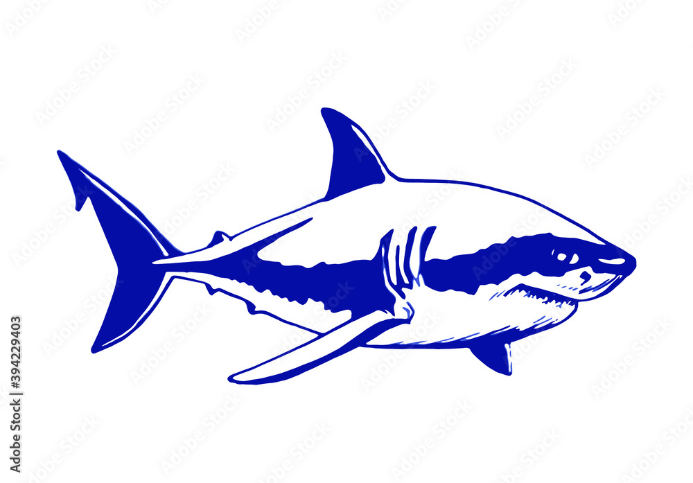 Vector blue shark isolated on white background , marine life Vector blue shark isolated on white background , marine life