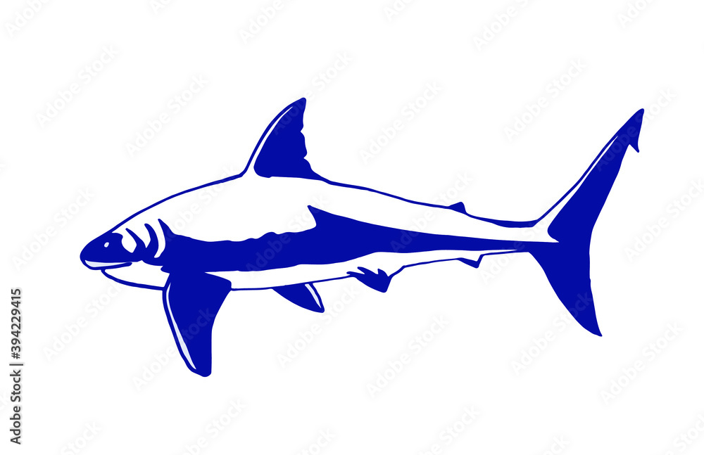 Vector blue shark isolated on white background , marine life Vector blue shark isolated on white background , marine life