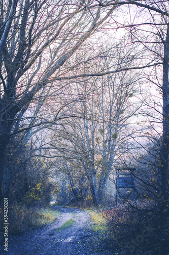 Autumn in Hungary / Rajka