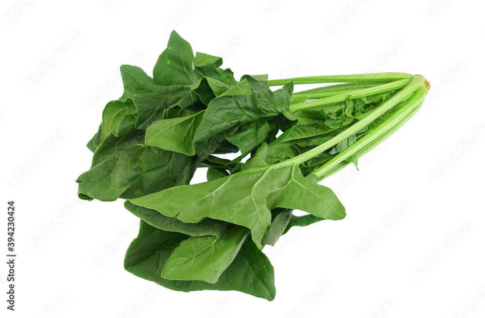close up on fresh spinach isolated on white background close up on fresh spinach isolated on white background
