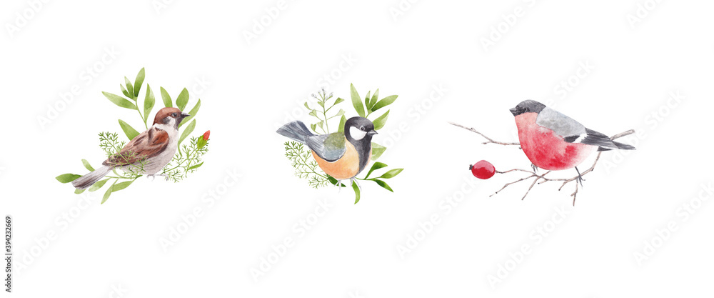 floral illustration with birds. Watercolor flowers and birds on a white background. Great for the design of greeting cards, postcards, invitations, posters, promotional items