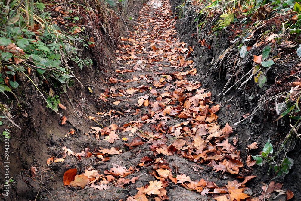 Tiefe Furche von Reifen von Forstmaschine im Waldboden im Herbst - Stockfoto
