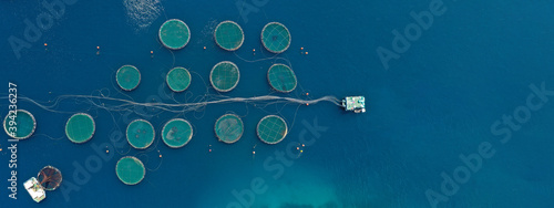 Photos Aerial drone ultra wide panoramic photo of large fish farming unit of sea bass a