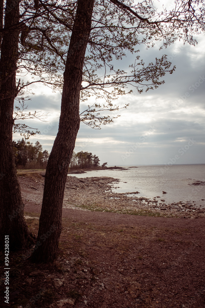 Sweden mobile home Hiking travel adventure Sweden mobile home Hiking travel adventure