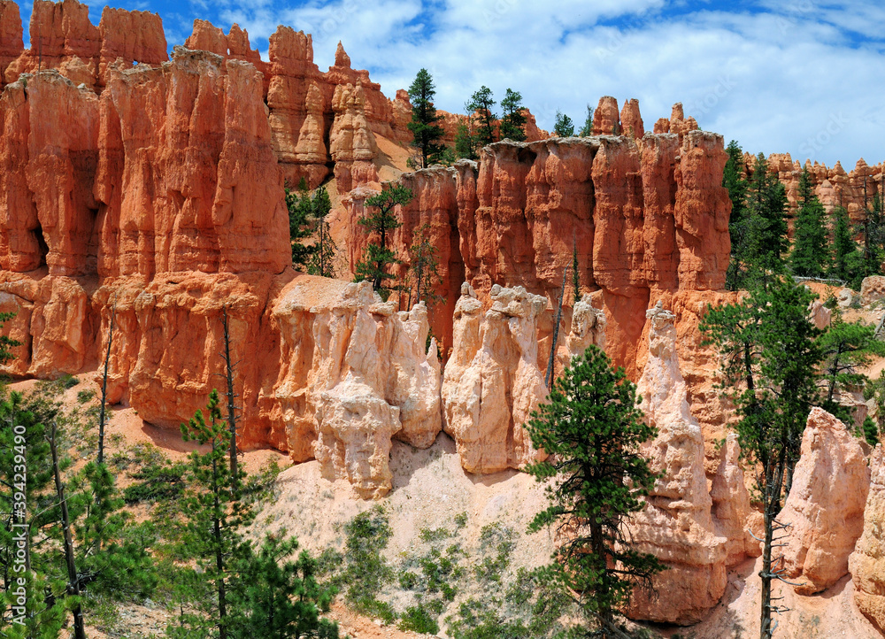 View To The Rocky Hoodoos On The Pekaboo Loop Trail At Bryce Canyon National Park On A Sunny Summer Day With A Clear Blue Sky And A Few Clouds View To The Rocky Hoodoos On The Pekaboo Loop Trail At Bryce Canyon National Park On A Sunny Summer Day With A Clear Blue Sky And A Few Clouds
