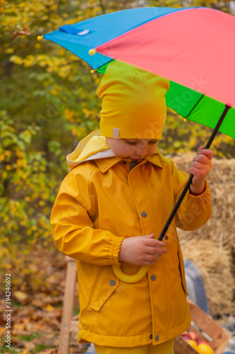 cute beautiful prescholer boy in an orange pants, raincoat, hat, rubber boots with a rainbow-colored umbrella near photo zone of autumn decorations - pumpkins, apples, blankets, hay. Cosiness photo