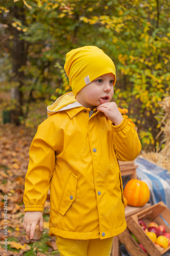 cute beautiful prescholer boy in an orange pants, raincoat, hat, rubber boots near photo zone of autumn decorations - pumpkins, apples, blankets, hay. Cosiness cute beautiful prescholer boy in an orange pants, raincoat, hat, rubber boots near photo zone of autumn decorations - pumpkins, apples, blankets, hay. Cosiness