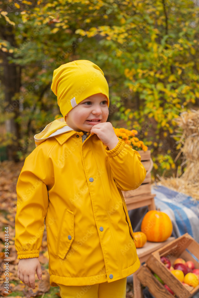 cute beautiful prescholer boy in an orange pants, raincoat, hat, rubber boots near photo zone of autumn decorations - pumpkins, apples, blankets, hay. Cosiness cute beautiful prescholer boy in an orange pants, raincoat, hat, rubber boots near photo zone of autumn decorations - pumpkins, apples, blankets, hay. Cosiness