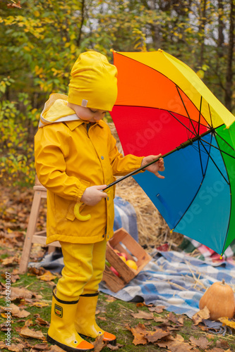 cute beautiful prescholer boy in an orange pants, raincoat, hat, rubber boots with a rainbow-colored umbrella near photo zone of autumn decorations - pumpkins, apples, blankets, hay. Cosiness