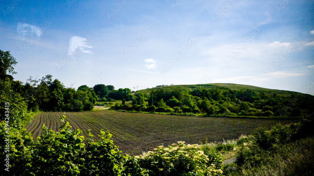 Obraz premium Photography