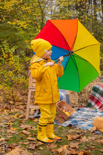 cute beautiful prescholer boy in an orange pants, raincoat, hat, rubber boots with a rainbow-colored umbrella near photo zone of autumn decorations - pumpkins, apples, blankets, hay. Cosiness photo