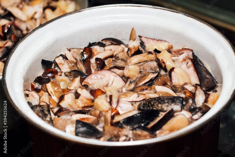 Cooking forest edible mushrooms. Boil chopped Imleria badia, Suillus, Leccinum in a saucepan. Cooking forest edible mushrooms. Boil chopped Imleria badia, Suillus, Leccinum in a saucepan.