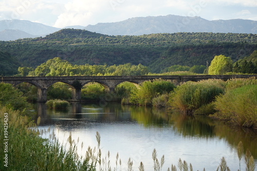 bridge over the river