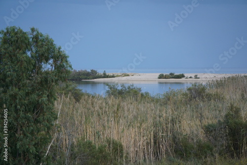view of the coast of the river