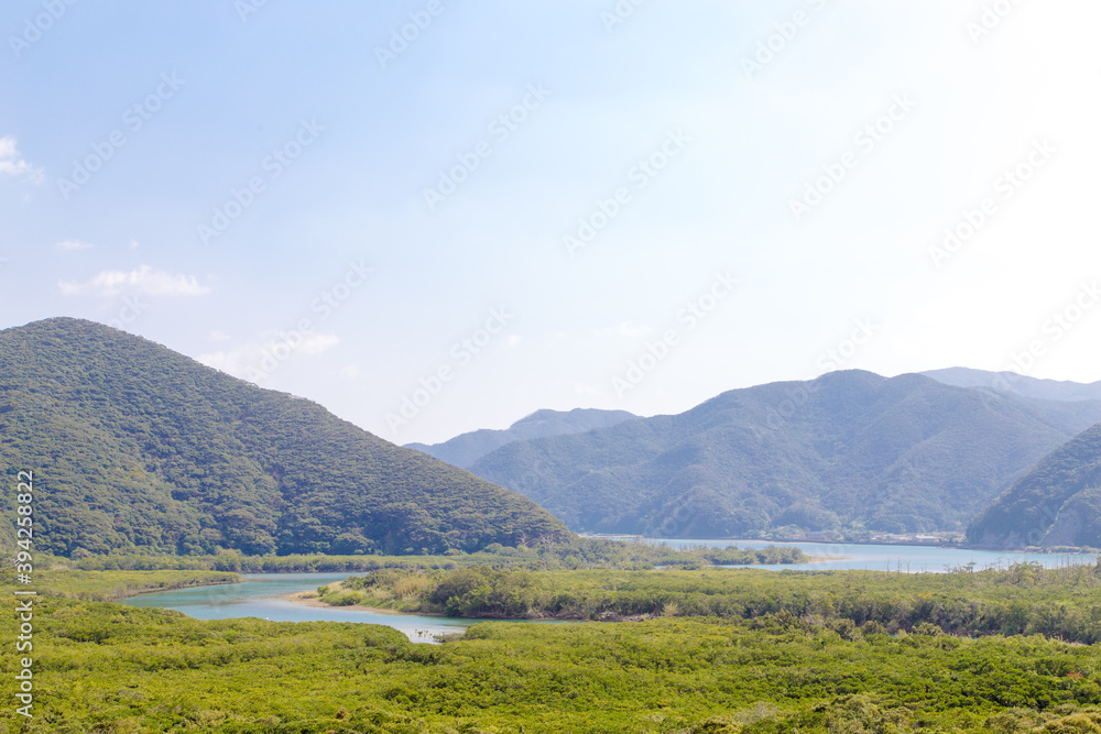 The virgin mangrove forests of Amami Oshima_07