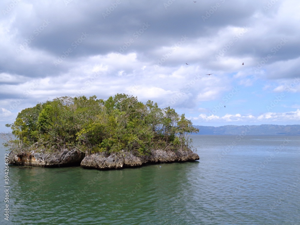 Naklejka premium Birds island 2