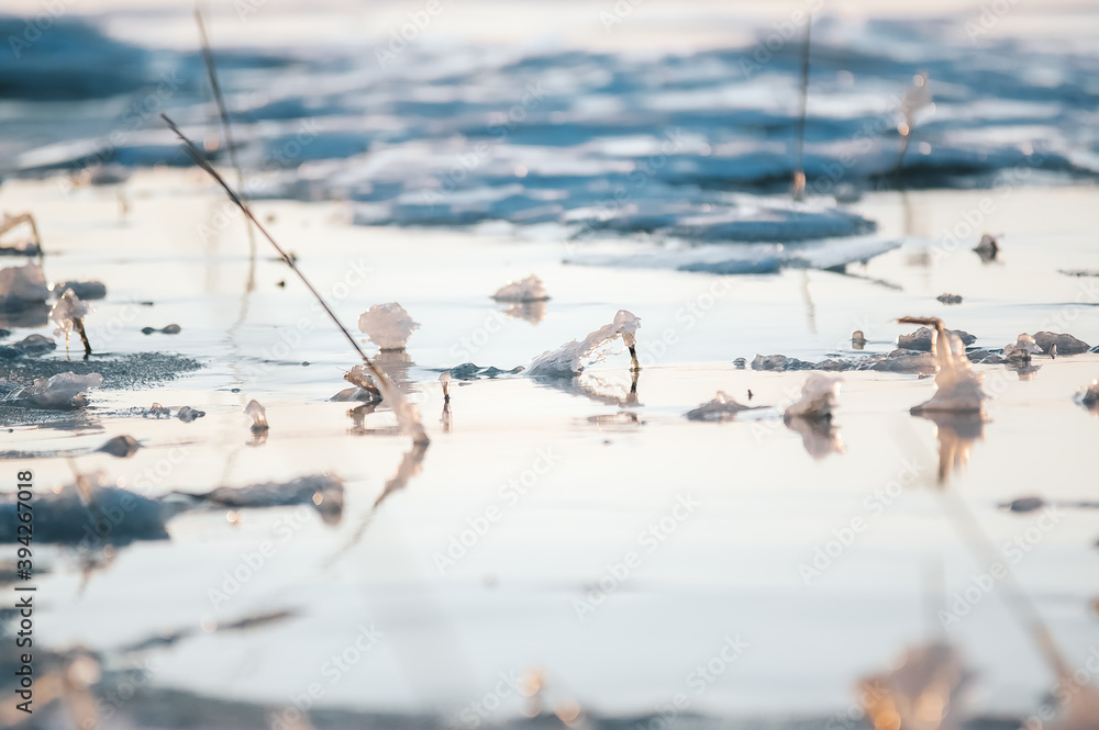 Kadr zimowa kompozycja woda pokryta lodem i śniegiem z przebijającymi spod niego trzcinami - obrazy, fototapety, plakaty 