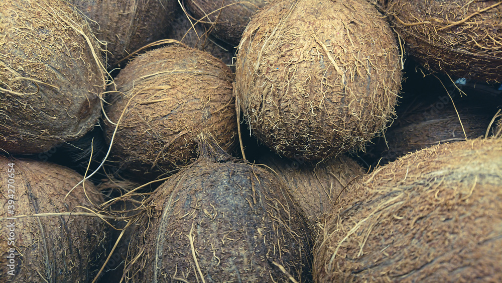 Texture background from of coconuts Texture background from of coconuts