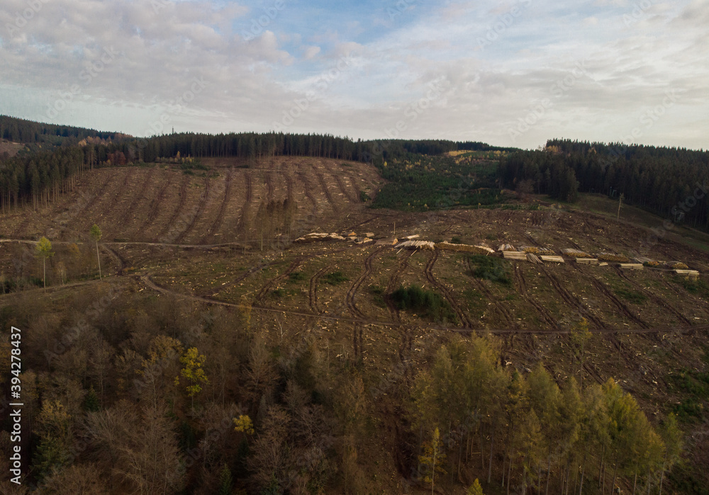 Naklejka premium Waldsterben in Deutschland: Luftaufnahme eines abgeholzten Waldes im Sauerland, Nordrhein-Westfahlen. Klimawandel, Trockenheit und der Borkenkäfer als Ursache.
