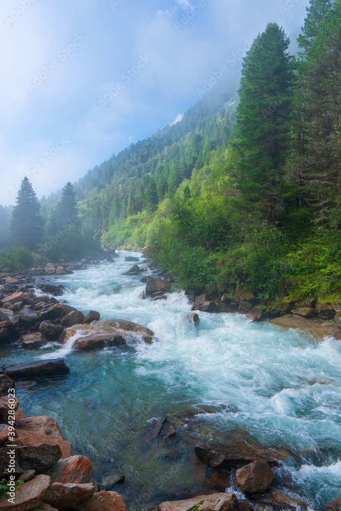 The Krimmler Ache river in the High Tauern National Park, Austria The Krimmler Ache river in the High Tauern National Park, Austria