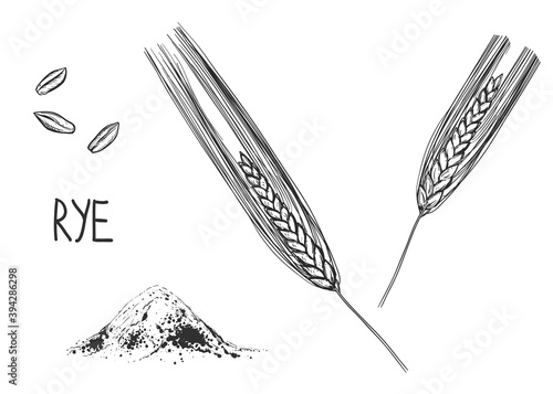 Hand drawn sketch black and white set of ear rye, leaf, grain, flour. Vector illustration. Elements in graphic style label, card, sticker, menu, package. Engraved style illustration.