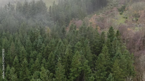 Wallpaper Mural Aerial View of Coniferious Forest on Foggy Autumn Day in Countryside of Norway Torontodigital.ca