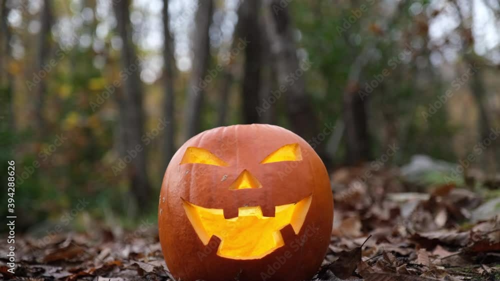 Halloween spooky Jack O Lantern pumpkin face glowing in the forest in autumn. Halloween spooky Jack O Lantern pumpkin face glowing in the forest in autumn.