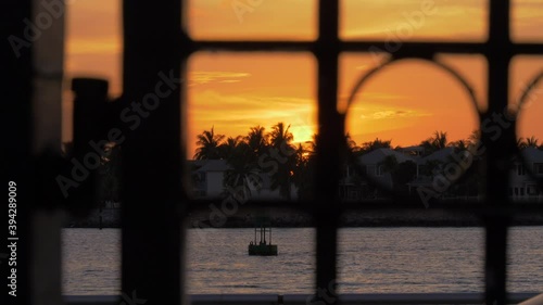 Wallpaper Mural Sunset behind palm trees and through a fence filmed from Mallory Square in Key West Florida. Torontodigital.ca